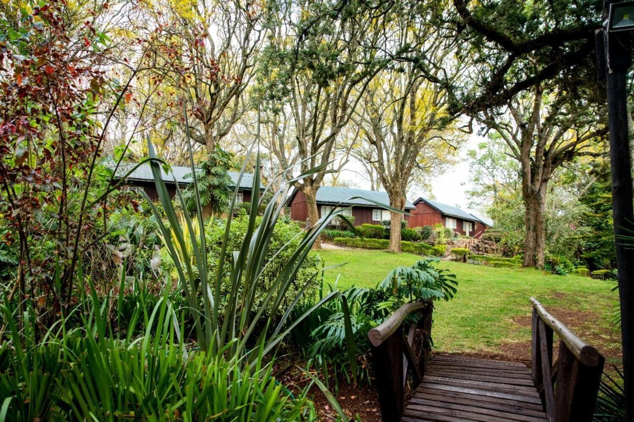 Naro Moru River Lodge Extérieur photo