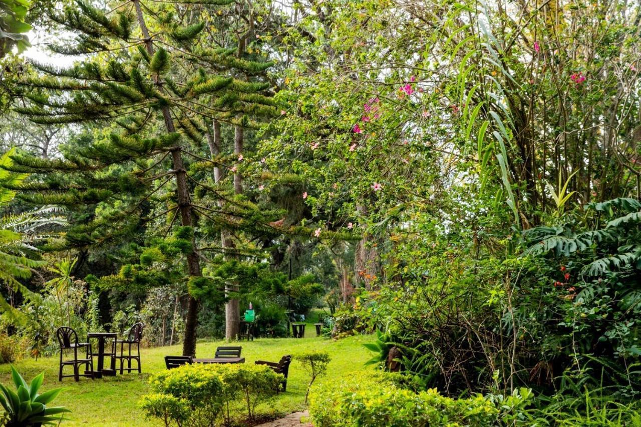 Naro Moru River Lodge Extérieur photo