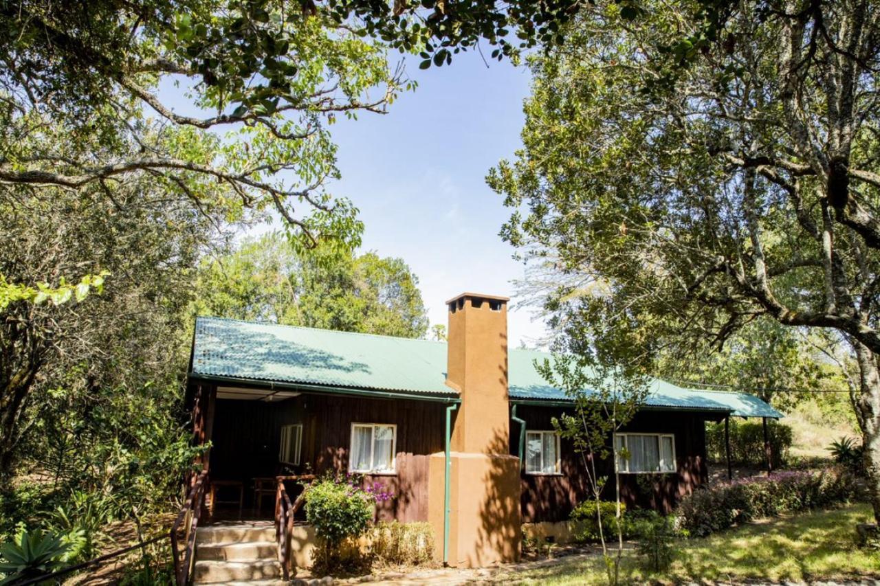 Naro Moru River Lodge Extérieur photo